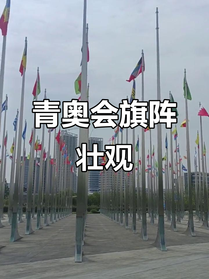 青奥(青奥会几年举办一次)